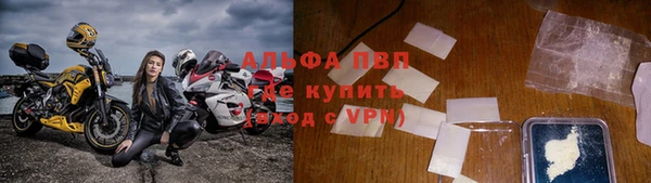 spice Богданович