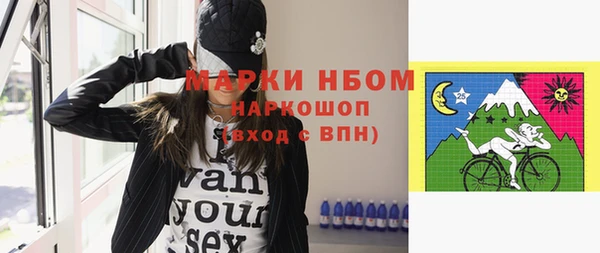 бошки Бородино
