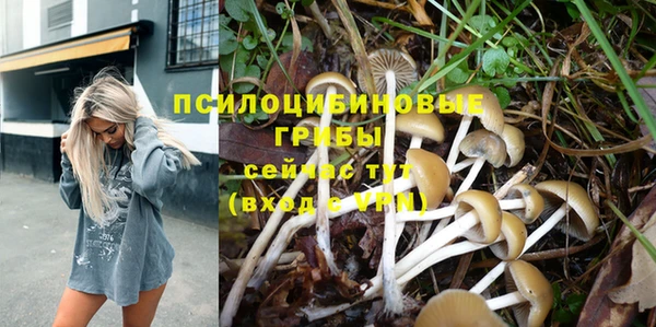 герыч Володарск